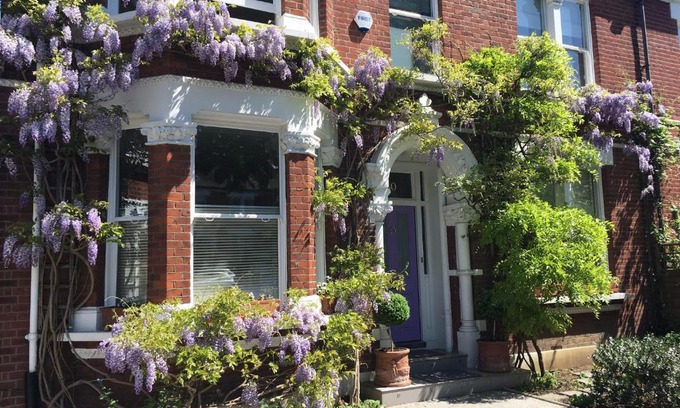 Thurlow Park Cama Y Desayuno | The Lilac Door