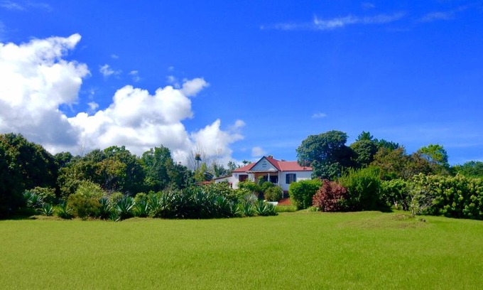Joffreville Hotel | The Litchi Tree Amber Mountain Boutique Hotel