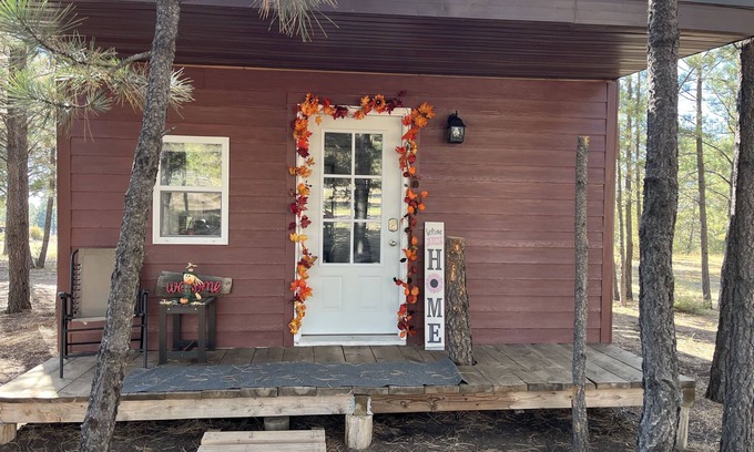 Edgemont Cabina | The little cabin in the woods! Nearby great trails and hunting!