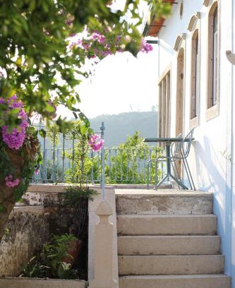 Alvaiazere Casa | The Little Olive Quinta
