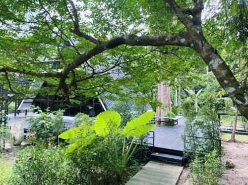 Lan Saka Cama Y Desayuno | The Lodge At The Creek Haus