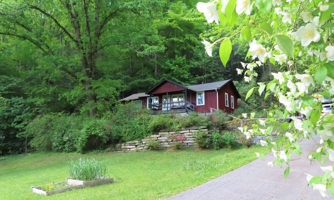 Pisgah Forest Cabina | The Longview Cabin: An inviting cabin, next to Pisgah National Forest.
