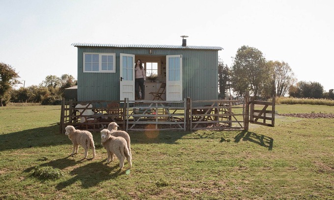 St Mary's Bay Cabina | The Lookerer by Bloom Stays - a rural shepherds hut with amazing views!