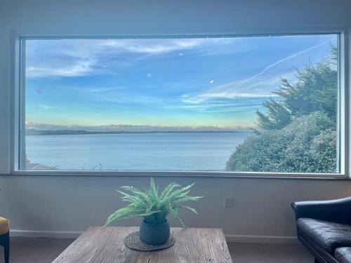Newcastle Casa | The Lookout