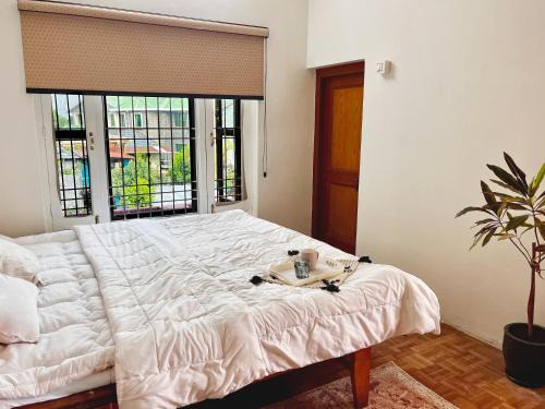 Gunehr Casa | The Luna