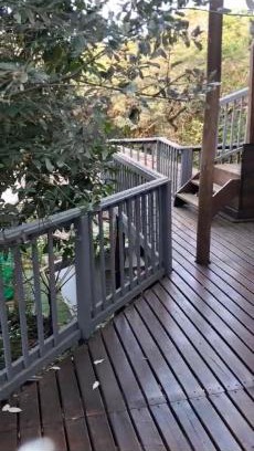 Leisure Bay Apartamento | The Luxurious Cabin