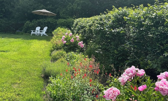 Ashburnham Cama Y Desayuno | The Maguire House Bed & Breakfast