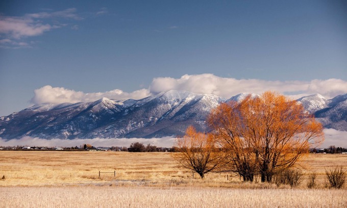 Kalispell Cabina | The Migration Haven! Charming 2-bedroom cabin in wonderful Somers with WiFi
