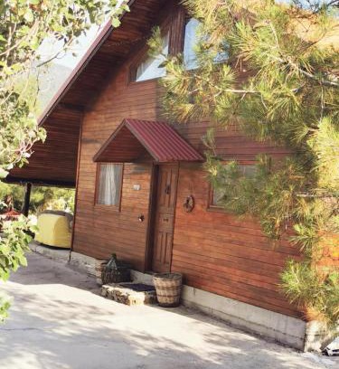 Pedhoulas Casa | The Mouflon House Pedoulas
