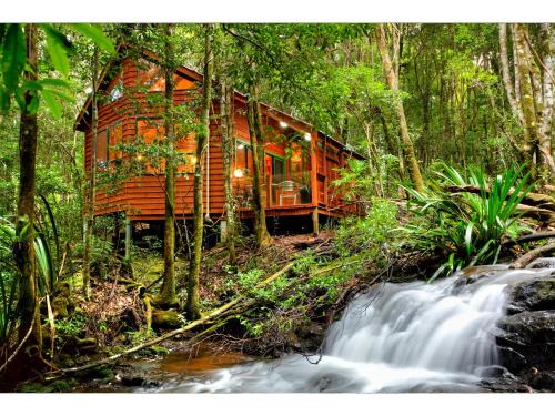 Springbrook Cabina | The Mouses House Rainforest Retreat