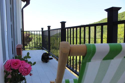 Sighnaghi Apartamento | The nature