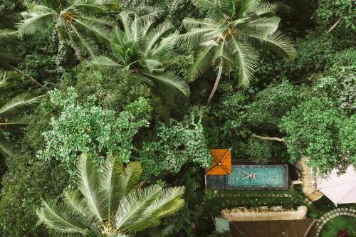 Ubud City-Centre Cama Y Desayuno | The Nest in Ubud, Bembengan Cottage