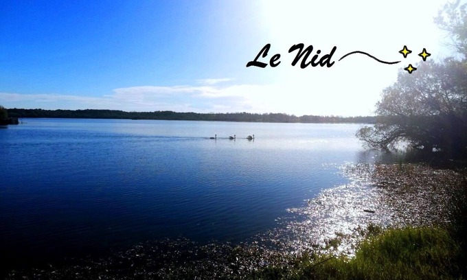 Aureilhan Apartamento | The Nest of the Lake