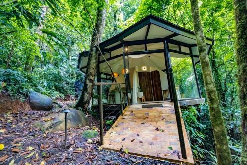 Baru Apartamento | The Nest Unique Jungle Retreat