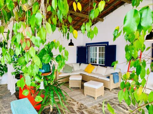 Avis Casa | The Oak Tree Farm - Open Layout Concept by Portus Alacer - Ideal for Families - Unplug, Unwind, and Reconnect with Nature