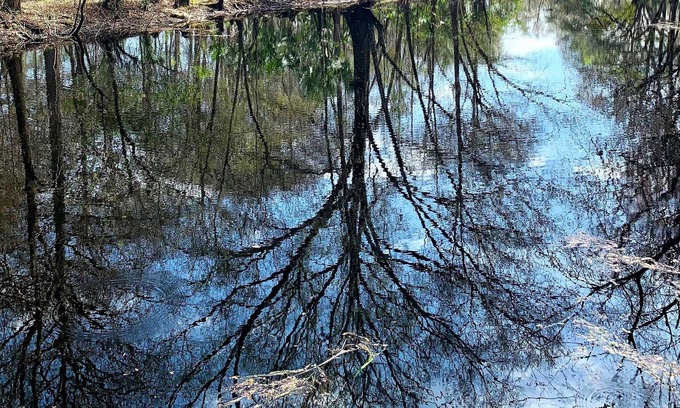 Inverness Cabaña | The Oaks at Withlacoochee Cottage Riverfront - NO Mgt fees!