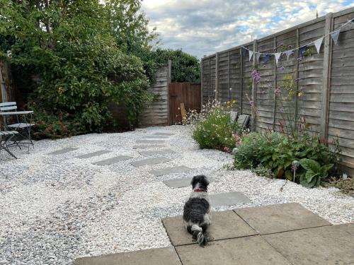 Ramsgate Casa | The Old Dairy With Parking - Dog Friendly