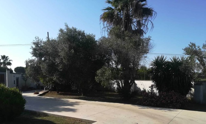 Galatina Villa | El huerto de los olivos
