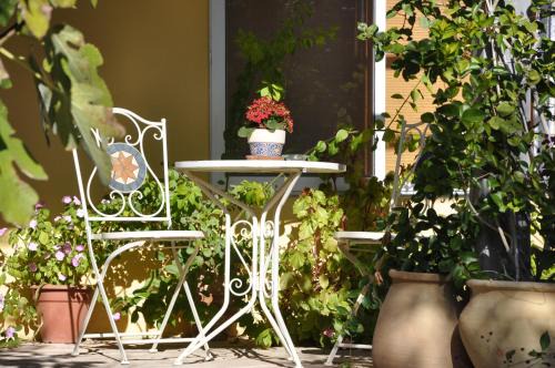 Tsafririm Cabina | The OLive Tree