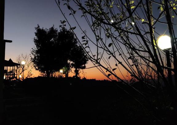 Rajgarh Cama Y Desayuno | The Orchard