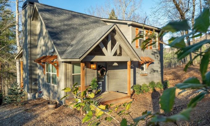 Suches Cabina | The Painted Peak - Fast WiFi, Dog-Friendly, Firepit, Mountain Getaway!