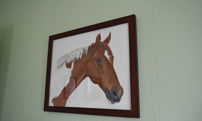 Geneseo Casa | The Painted Pony Cottage at LegUp Stables. Vacation with a Horse!