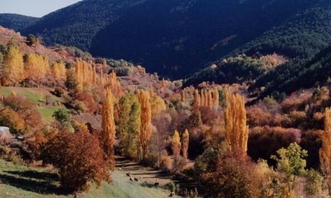 Llagunes Cabaña | Lo pallé de cal bosch,amplio apartamento rural con magnificas vistas, Pirineo