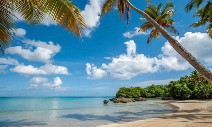 La Ceiba Apartamento | {The~Palms~View} @PlayaBonita +Beachfront+Pool+BBQ
