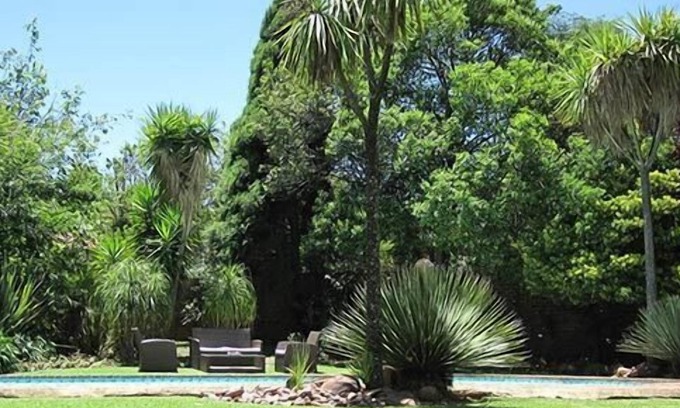 Greater Johannesburg Metropolitan Area Cama Y Desayuno | The Pecan Tree