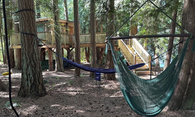 Woodinville Alquiler De RV | The Perch - Woodinville in the Woods
