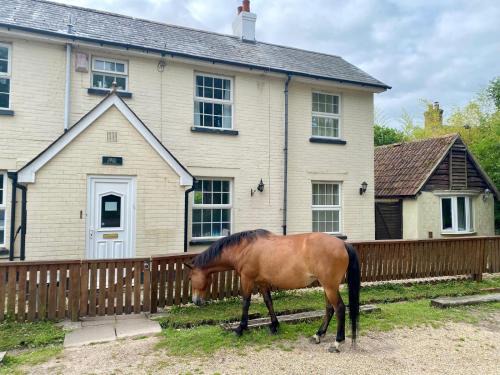 New Forest District Casa | The Pigs' Pantry, Burley