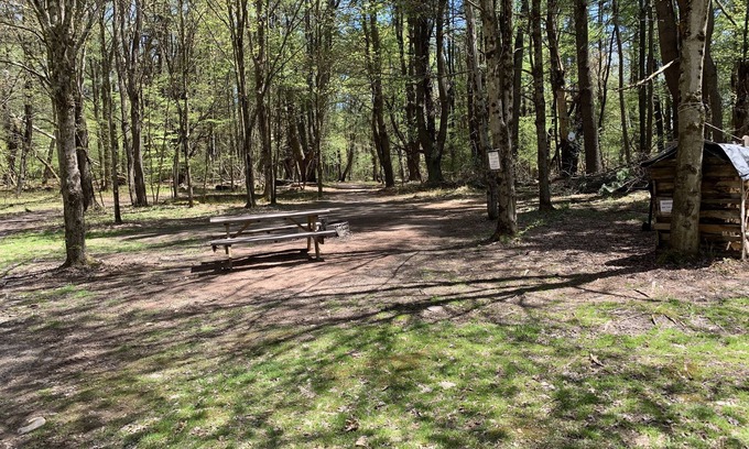 Unadilla Alquiler De RV | The Pines Hill Top. Bring your own tent or rent one for 35, setup 25.