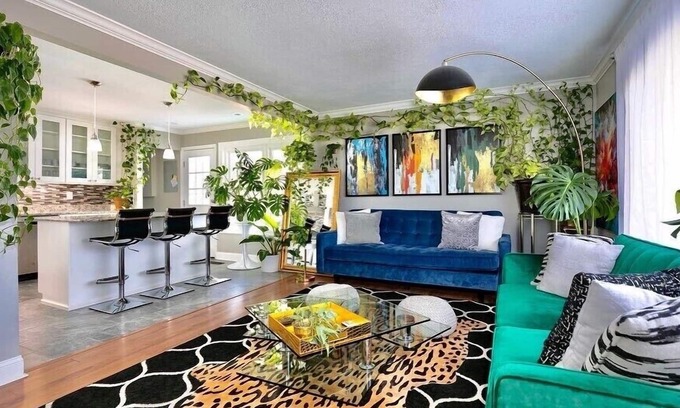 St. Louis Casa | THE PLANT SANCTUARY 🌱