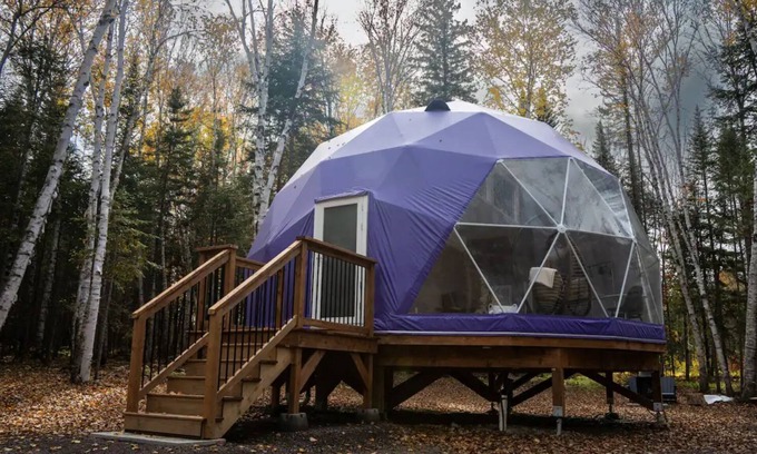Queens County Cabina | The Purple Violet