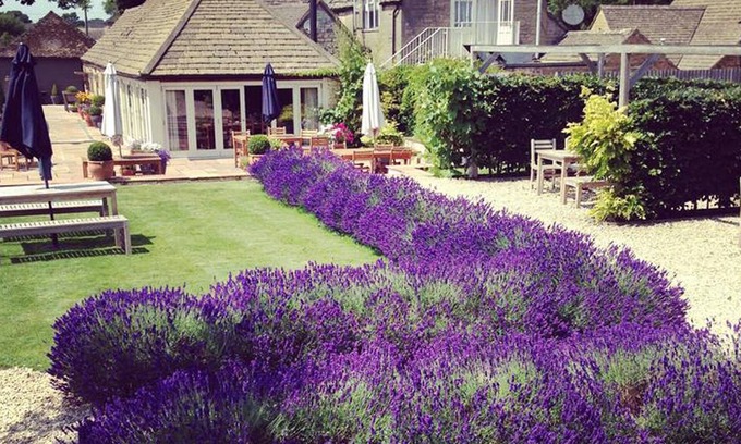 Minchinhampton Casa | The Ragged Cot