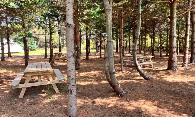 Brackley Beach Otro | The Red Fox Campground