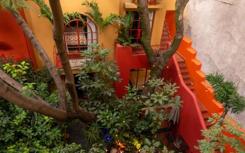 Hipódromo Cama Y Desayuno | The Red Tree House