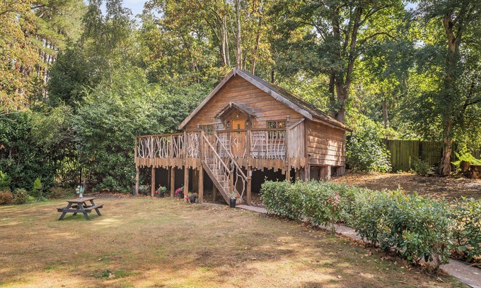 New Forest District Cabaña | The Retreat - UK50421