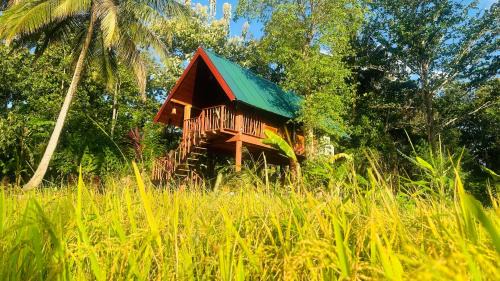 Sigiriya Cama Y Desayuno | The Rock & Paddy Resort