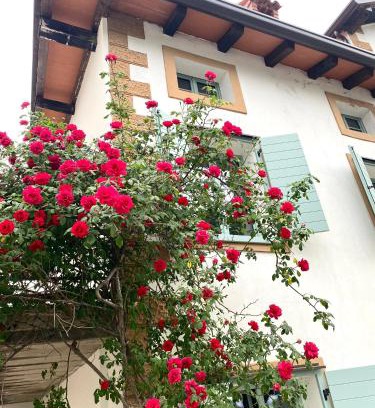 Kojsko Apartamento | The Rooster Apartments