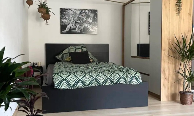 Nauwieser Viertel Apartamento | The Saar Jungle Design Apartment im Herzen von Saarbrücken