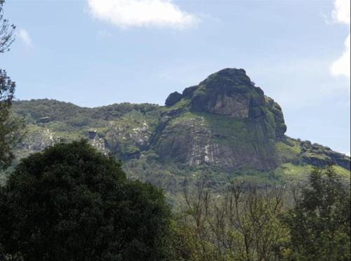 Sangameswarpet Casa | The Sattva Nature Retreat