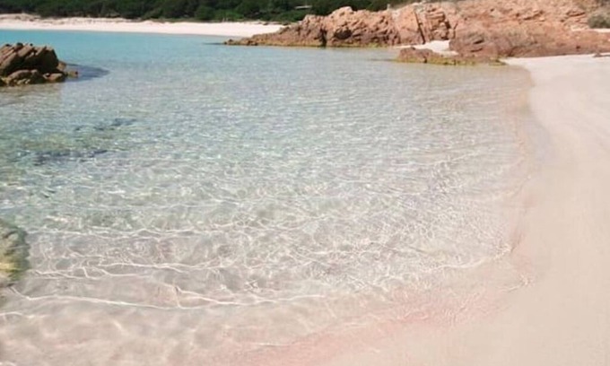 Sa Castangia Apartamento | The Scola of Pirazzolu Retreat