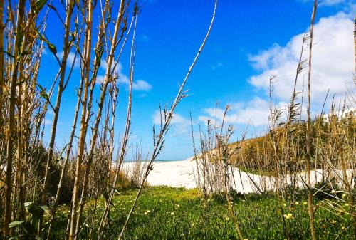 Obidos Apartamento | The Sea Breeze Haven in Praia d'el Rey
