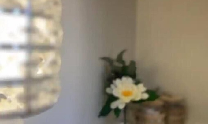 Yellow Springs Apartamento | The Serling