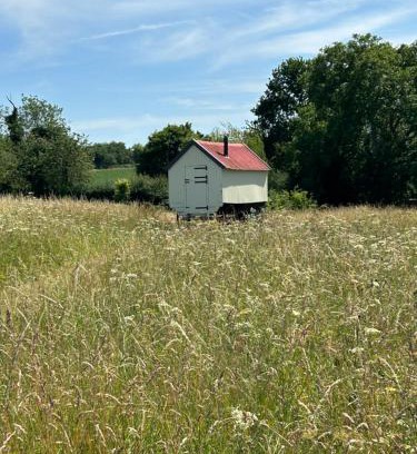 Hindringham Otro | The Shepherds Hut