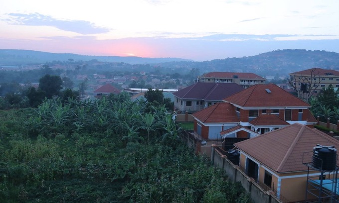 Kajansi Hotel | The Shoebill Nest