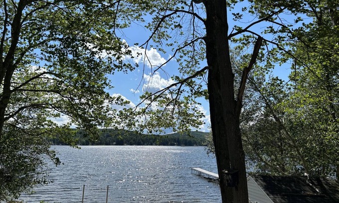 Shapleigh Casa | The Silver Lake Oasis