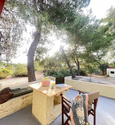 Lagonissi Casa | The Simple Space, a pause near the sea