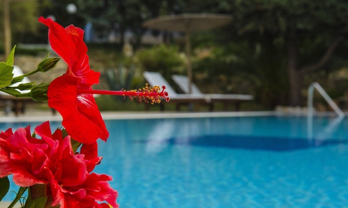 Mastichari Villa | The Small Village Villas Resort